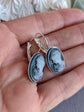 Blue Cameo Lever Back Earrings: Vintage Style Portrait Jewelry