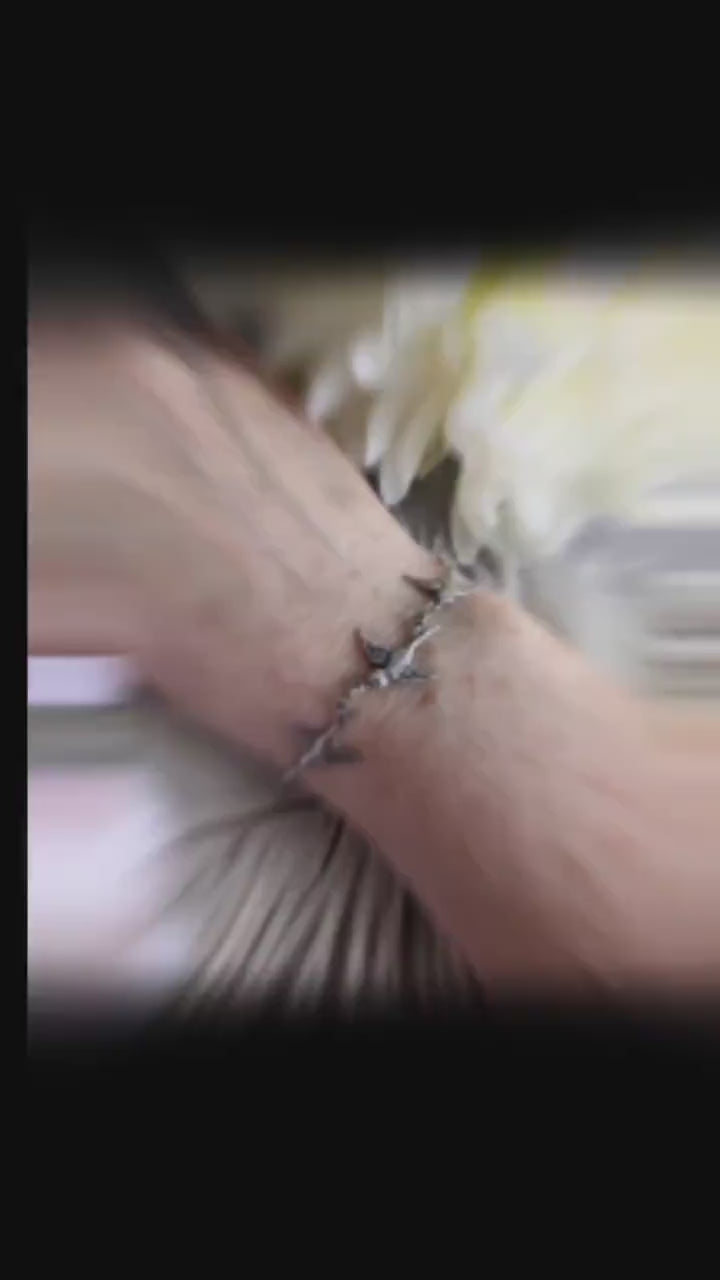 Silver Swallow Bird Bracelet: Dainty Trio Jewelry, Minimalist Style